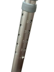 Bathroom Perfect Transfer Bench with Back, Blue Jay Cs/2