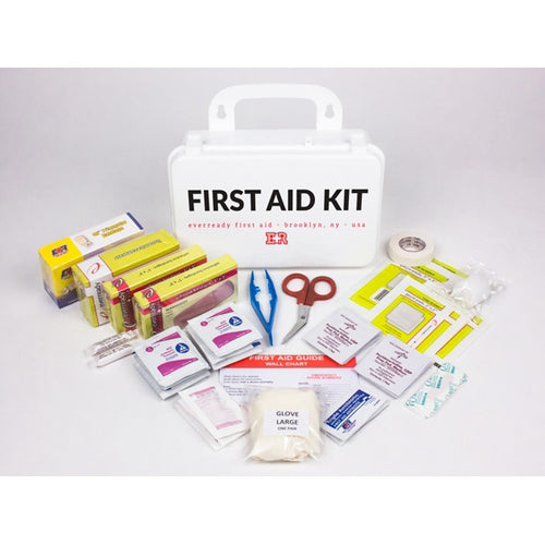 First Aid Kit  10 Person Plastic Case - Precision Lab Works