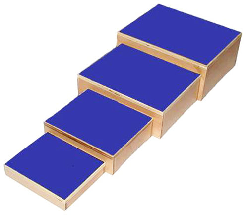 Therapy Step 10 x12 x2 - Precision Lab Works