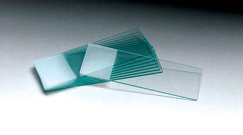 Microscope Slides- 1/4 Frosted Pk/72 - Precision Lab Works