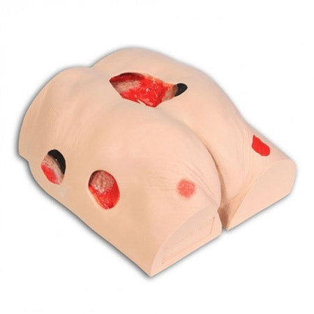 Seymour II Decubitus Wound Care Model - Precision Lab Works