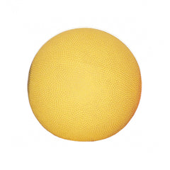 Rebounder Medicine Ball 4.4 lb Medicine Ball 4.4 Lbs - Precision Lab Works